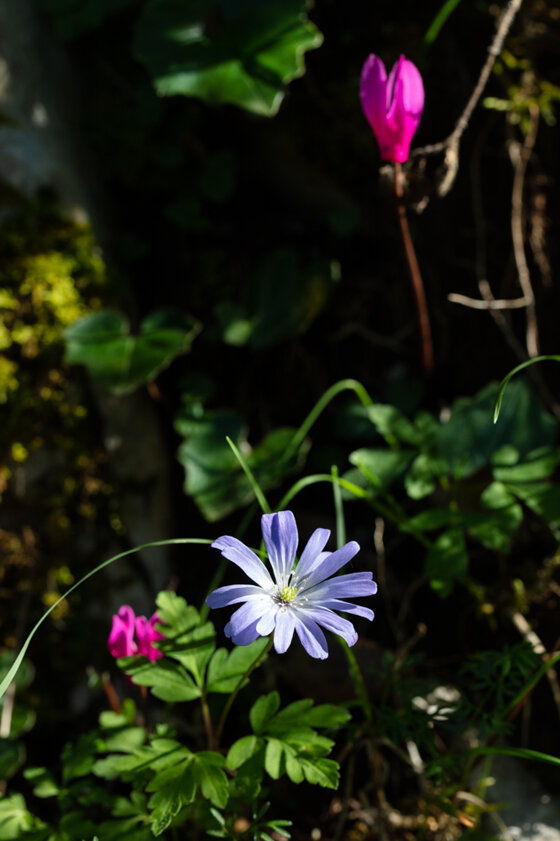 f562b108-0308-40fe-b634-d9818fd5836c