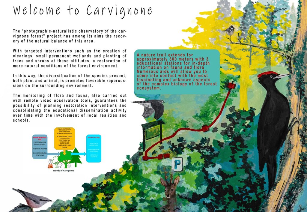 f597bd51-0cf6-4b63-a591-e9381d30f11a