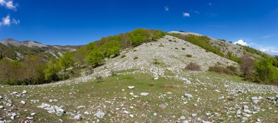 11d7a35d-2f1e-4667-8006-ca9d3e691c7a