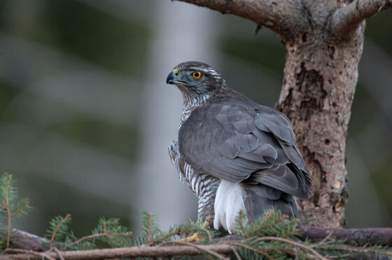 6b19e8e4-81b5-4424-9400-88ee905f5998 6b19e8e4-81b5-4424-9400-88ee905f5998