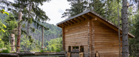 c6b982eb-dd85-497f-94c6-e06cb811b31e