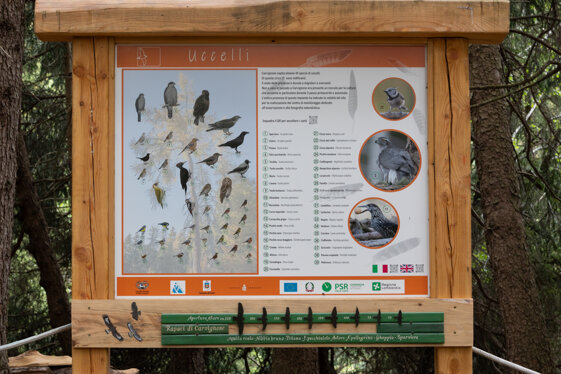 7d282a77-8217-4b04-a0e3-bbb803e493da