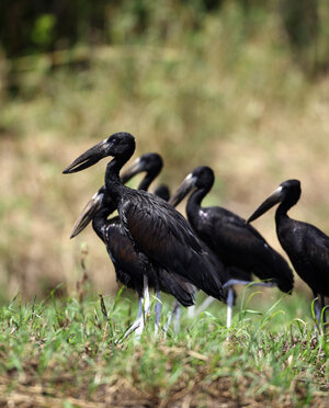 eyJpdCI6IiJ9 eyJpdCI6IiJ9