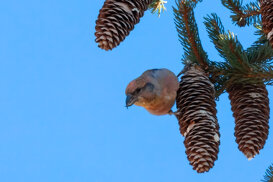 f10184a7-be5f-4ee9-b4b6-0a5038f26a98