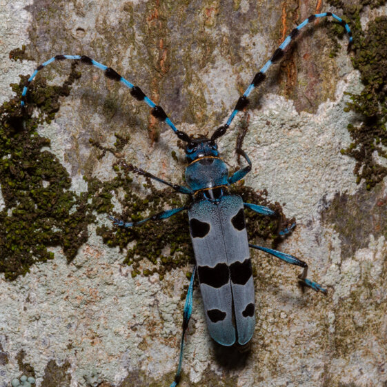 4c257563-9334-4463-be1f-680c4ffc9721