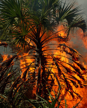 eyJpdCI6IiJ9 eyJpdCI6IiJ9