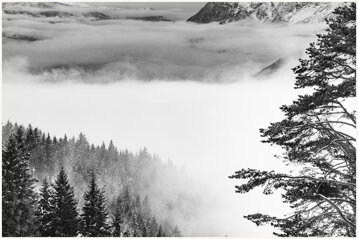 9a29a402-2f2c-4623-8d20-55b2608bcdf2