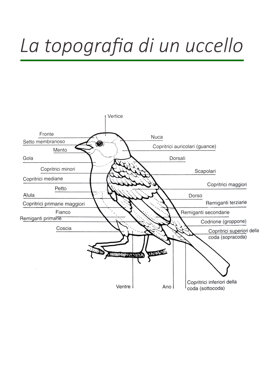 de0622b6-e7f6-4690-b44a-ace7a8a51be1 de0622b6-e7f6-4690-b44a-ace7a8a51be1