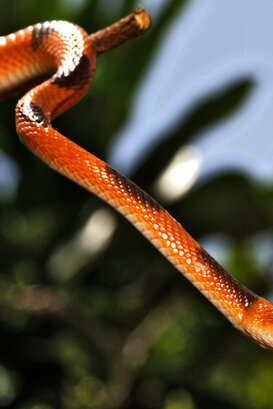 Photo by Lorenzo Marchetti