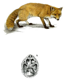 c5d88296-c2b4-4a99-935e-17e761894070