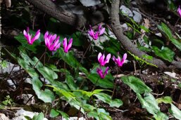 844ef2a3-b133-41bd-a47d-81e4ca71444d