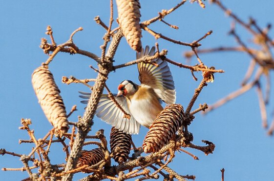 fb615041-a782-4cca-b79c-ef39dc797774 fb615041-a782-4cca-b79c-ef39dc797774