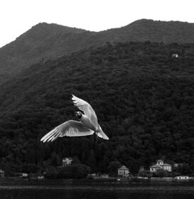 Aldo Santoro - Then suddenly .... Then suddenly I was swept away by the wind and...