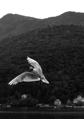 Aldo Santoro - Then suddenly .... Then suddenly I was swept away by the wind and...