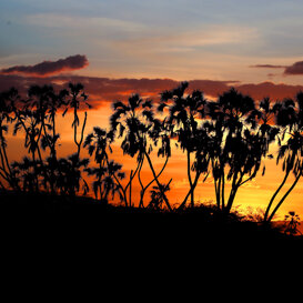 Photo by Lorenzo Marchetti