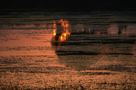 Sunsets 2020 Photo by Luciana De Marco