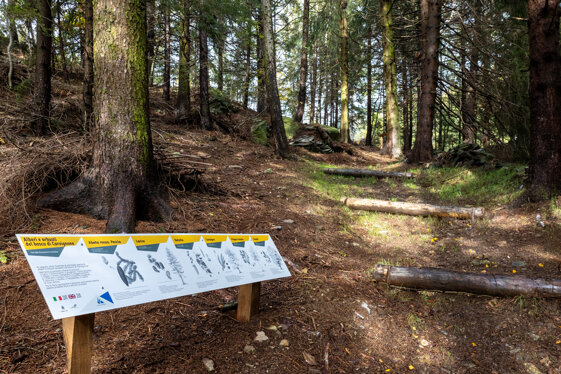 ae6f174b-29f5-466d-b4a6-3187fbf77235