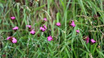 78c7b9e2-1455-454c-8b5d-66bc995f5223