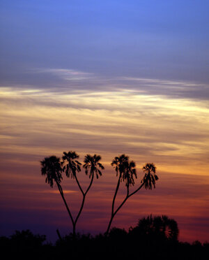 eyJpdCI6IiJ9 eyJpdCI6IiJ9