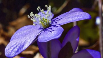 e3fadeee-1733-4eff-917a-c4b4e5e8eec0