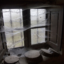 Francesco Pelle The window in the cellar...