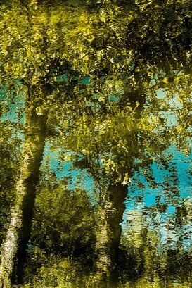 Guido Morelli Villoresi1 -Reflection - Parco delle Groane