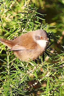 a0d9e31b-d419-4b4d-9249-2e8b2a56d673