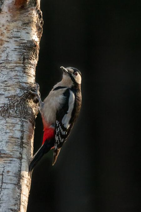 4aa712cb-95a4-4f56-ba86-60a7eb771205