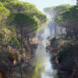 Photo by Lorenzo Marchetti