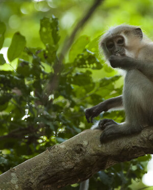 eyJpdCI6IiJ9 eyJpdCI6IiJ9