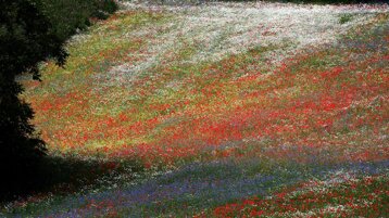 ae43dd2c-3b47-4c01-b554-04afd41017e4