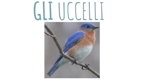 77c009a0-fc08-4c6f-95f7-2e395bfaeb87 77c009a0-fc08-4c6f-95f7-2e395bfaeb87