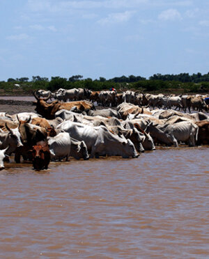 eyJpdCI6IiJ9 eyJpdCI6IiJ9