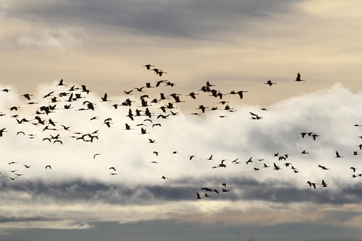 1e025bef-6710-4d83-909e-9d121f7c6b24