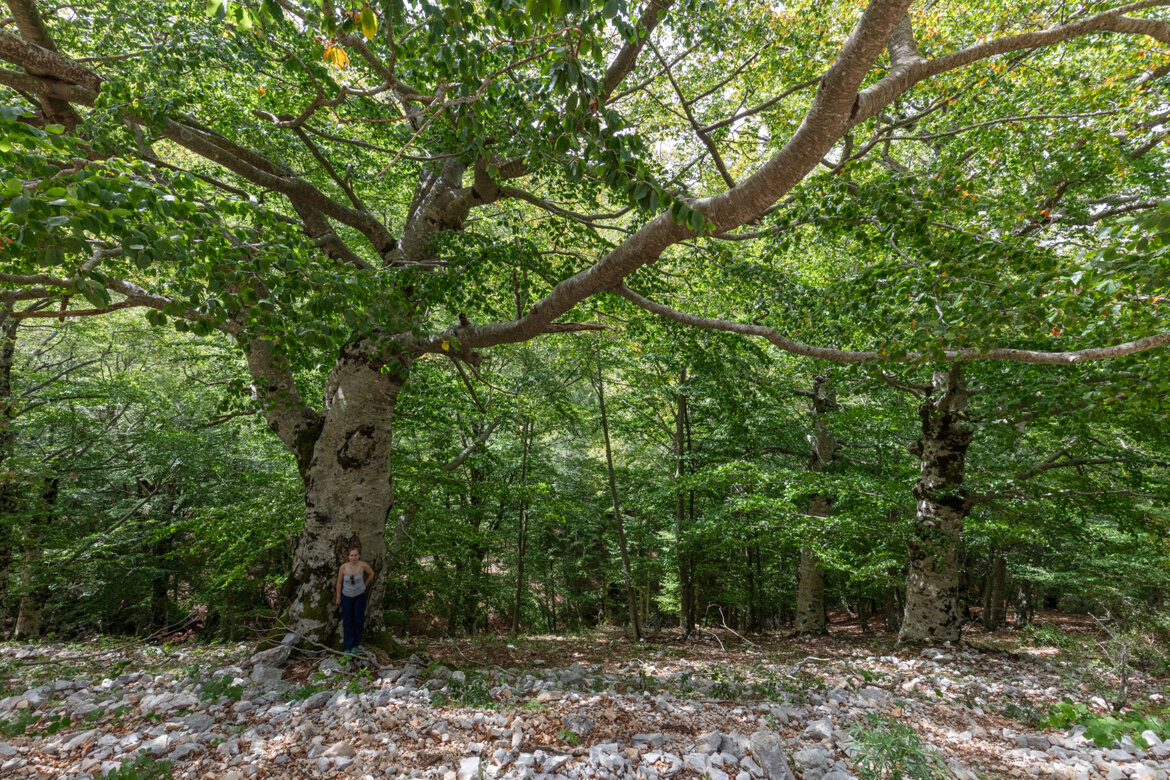 7b16fd57-c114-499b-906d-a81a796af94f