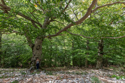 7b16fd57-c114-499b-906d-a81a796af94f