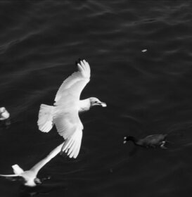 Aldo Santoro - Lake Lugano