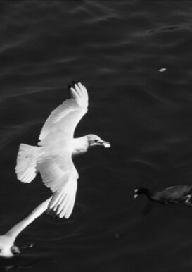 Aldo Santoro - Lake Lugano