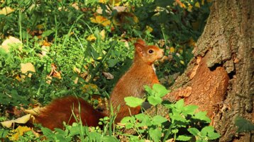 9dccd846-a75e-48a1-b9ef-4a50b725face