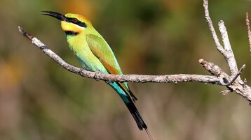 b6d92935-8e98-4aaf-bfe3-d1ab410be09e