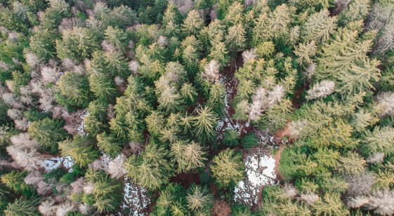 67261b26-4603-42f8-84a9-84a5e9573154 67261b26-4603-42f8-84a9-84a5e9573154