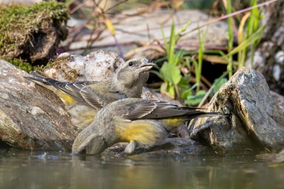 aeafcd8f-9bc6-4d30-8d68-ef0efe172e1d aeafcd8f-9bc6-4d30-8d68-ef0efe172e1d