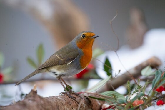 6e598fe3-57a8-491b-b61b-fe46a427fa07 6e598fe3-57a8-491b-b61b-fe46a427fa07