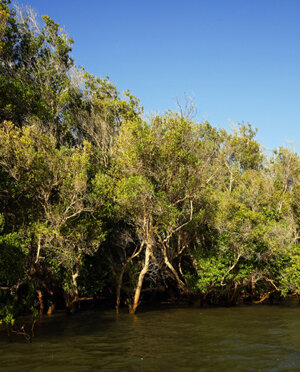 eyJpdCI6IiJ9 eyJpdCI6IiJ9