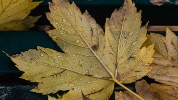 accc1e3a-19b2-4b26-a2f9-b23bf6be4541