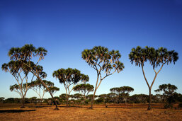 a18c4844-a5a9-404d-8dc6-a8a33037a829