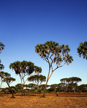 eyJpdCI6IiJ9 eyJpdCI6IiJ9