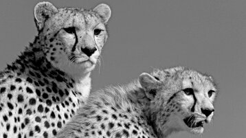 ce173f53-5a58-4c32-b40f-530d2cc57803