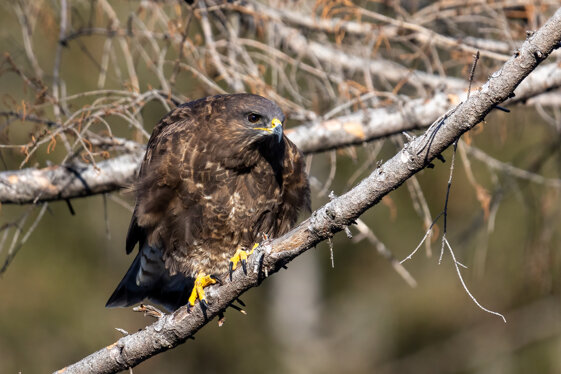 86892669-e00c-4f6c-a662-3d5e28aeffea 86892669-e00c-4f6c-a662-3d5e28aeffea