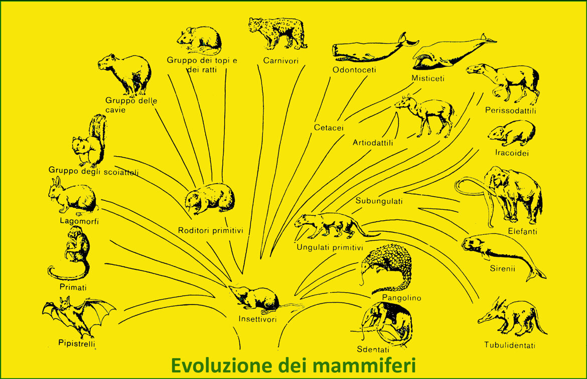 21045340-c609-47e7-81dc-07a927957b5e 21045340-c609-47e7-81dc-07a927957b5e